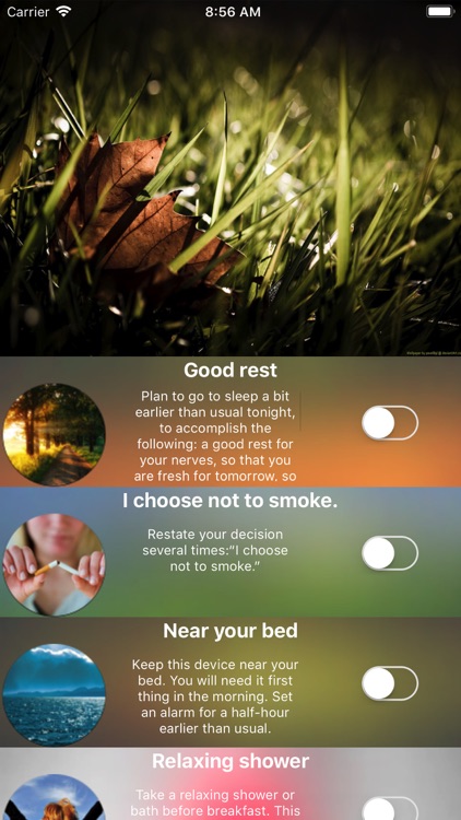 Quitting Smoking App