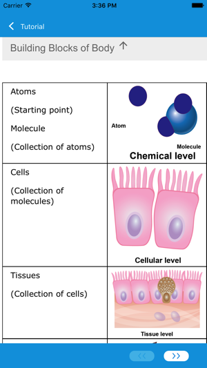 Learn Biology and HBA(圖3)-速報App