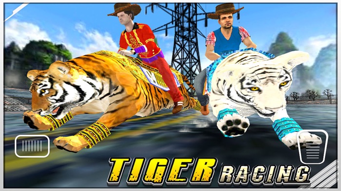 Tiger Racing  Simulator Race
