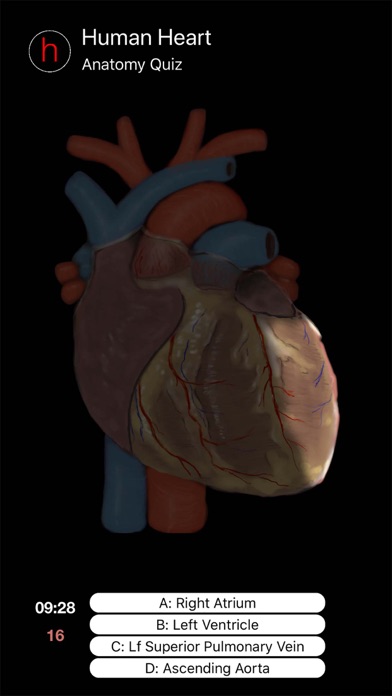 Human Heart Anatomy Quiz screenshot 3