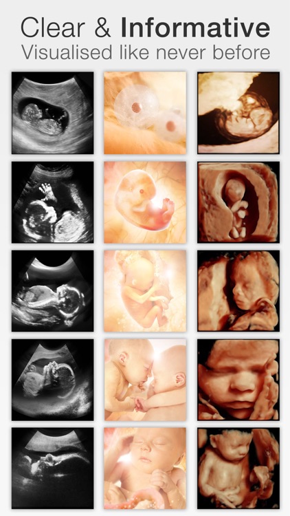 Pregnancy ++ screenshot-4