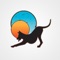 Download the Smiling Dog Yoga Barre and Fitness App today to plan and schedule your classes