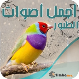 أجمل أصوات الطيور والعصافير