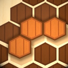 Activities of Wooden Hexa Puzzle