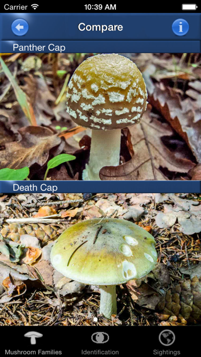 Mushroom Id Guide - UK - App voor iPhone, iPad en iPod ...