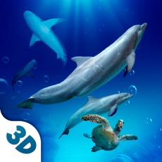 Activities of Underwater Animals Survival