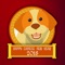 Celebrate Chinese New Year, also known as Spring Festival and express your love to your friends and family