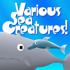Activities of Various Sea Creatures!