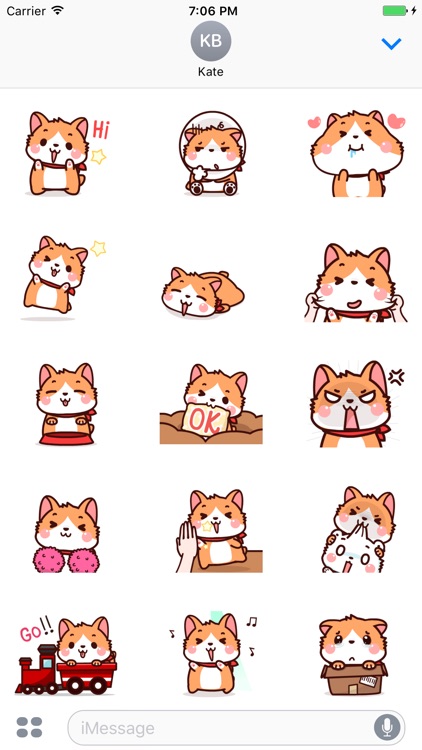 Animated Corgi Dog Stickers