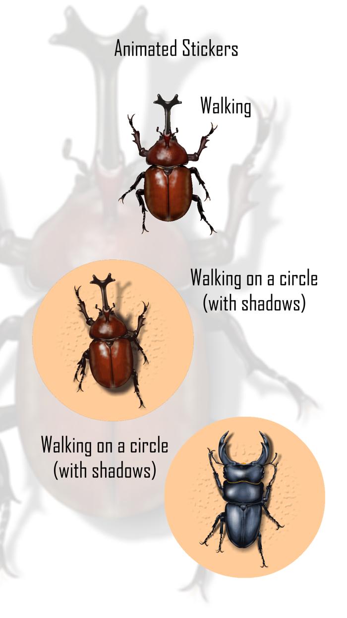 Japanese Cult Beetles