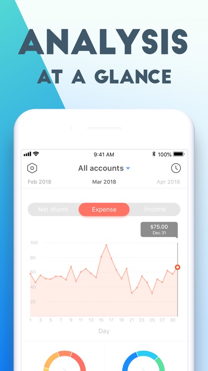 Pocket Expense 6