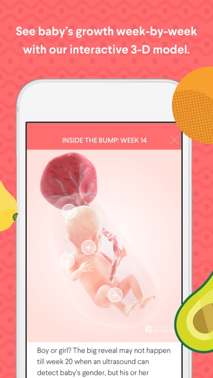 The Bump - Pregnancy Countdown