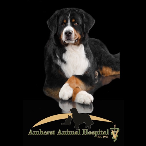 Amherst Animal Hospital..