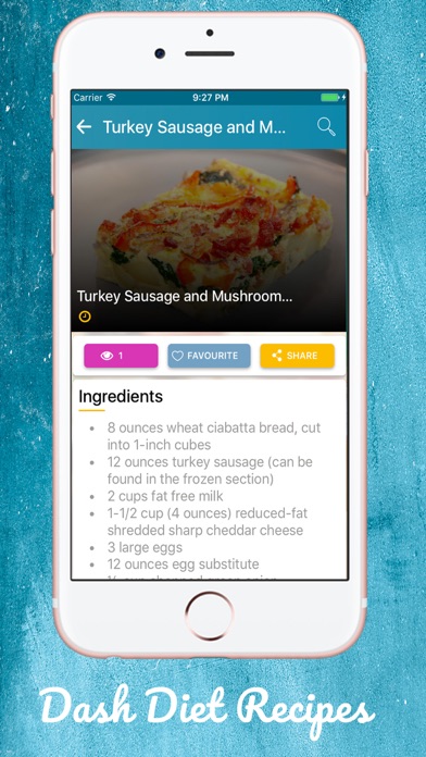 Dash Diet Plan Recipes screenshot 3