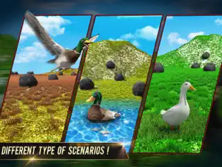 Ergreifen 5 Pato Caza Animal Disparo iphone