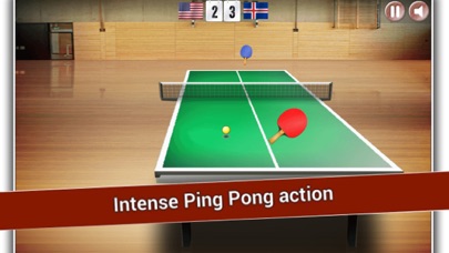 Mini Table Tennis screenshot 3
