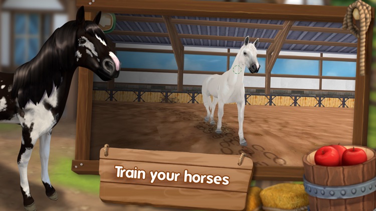 HorseHotel