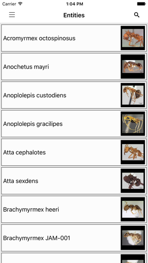 Antkey Mobile(圖3)-速報App