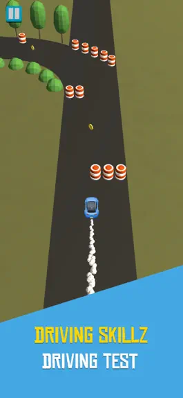 Game screenshot Driving Skillz mod apk