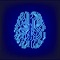How good is your memory