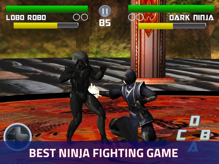 Ninja Kungfu 3D Combat Physics