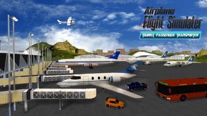 Tourist Airplane Transport Sim screenshot 3