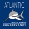 Atlantic White Shark Conservancy's supports scientific research, improves public safety, and educates the community to inspire conservation of Atlantic White Sharks