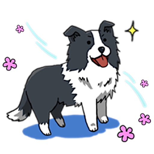 Cute Border Collie Dog Sticker Icon