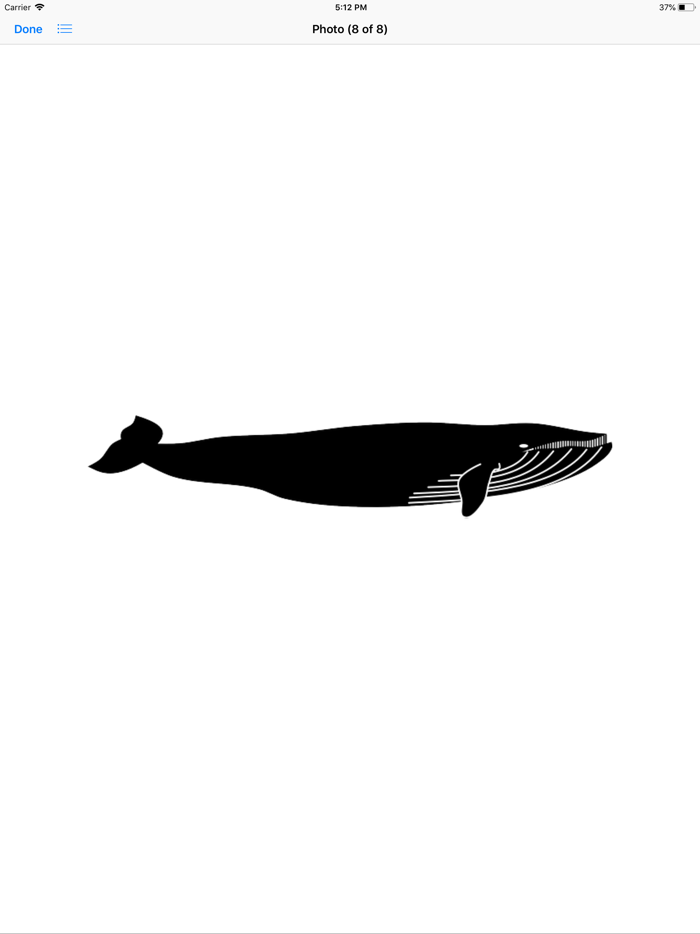 Real Whale Stickers