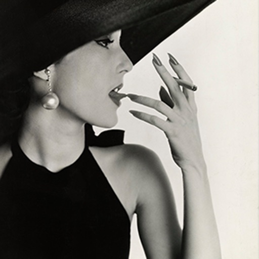 Irving Penn icon