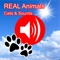 30+ kinds of animals and 2000+ high quality hunting calls at your fingertips
