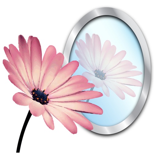 Photo Reflect