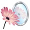 Easily add reflections to your photos for depth and dimension enhancing their appearance