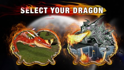 Flying Deadly Dragon Pro screenshot 2