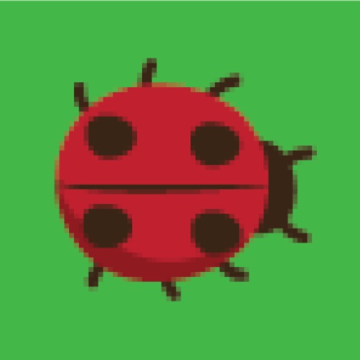 Catch Bugs Game icon