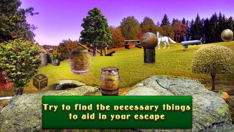 Can You Escape Forest ? screenshot-3