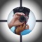 ------- The best photo editing app that comes with 200+ realistic stickers, 20+ editing tools & a quick collage maker tool