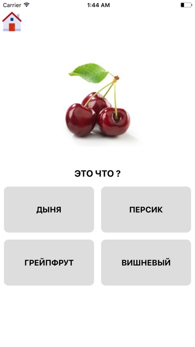 Learning Russian - Basic Words screenshot 3