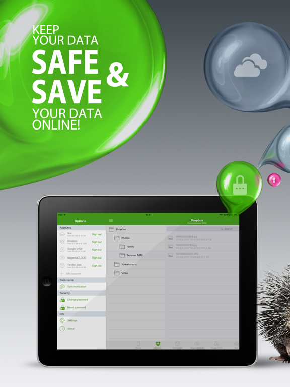 Screenshot #5 pour EgoSecure Encryption Anywhere