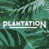 Plantation Coffee