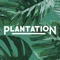 Skip the queue and download the Plantation Coffee app, an easy and convenient way to order and pay for your food, drinks and coffees