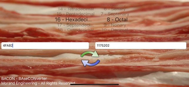 BACON BAseConverter(圖2)-速報App