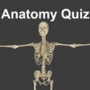 Anatomy Physiology Quiz and Glossary