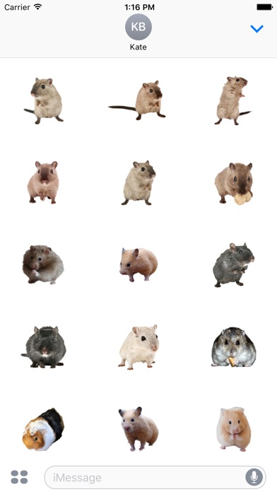 Hamster Photo Sticker screenshot 2