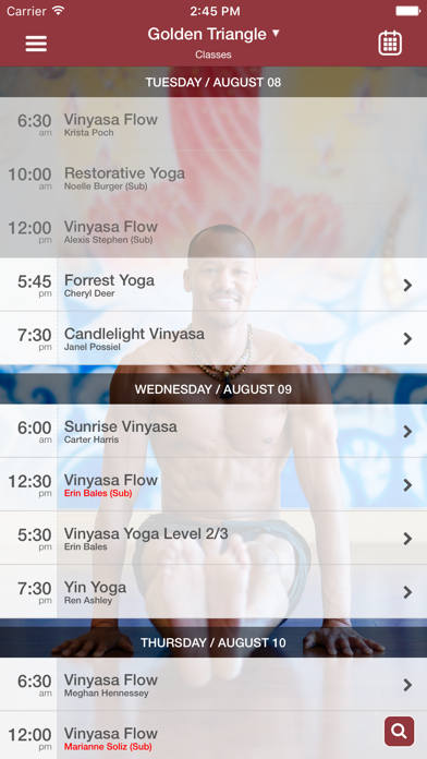 Samadhi Center for Yoga screenshot 4