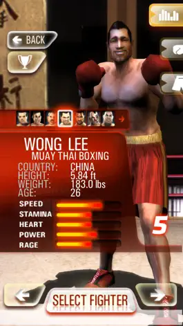Game screenshot Iron Fist Boxing Lite apk