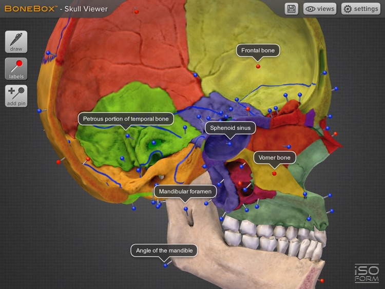 BoneBox™ - Skull Viewer screenshot-2