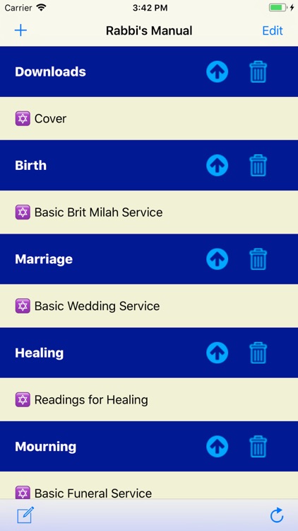 Rabbi's Manual