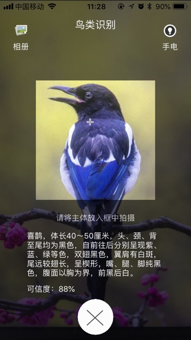 FlowerBird screenshot 2