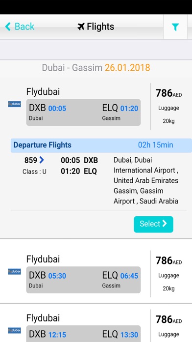 Dubai Fly screenshot 4